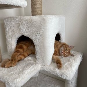 Meet your Posher, Dana